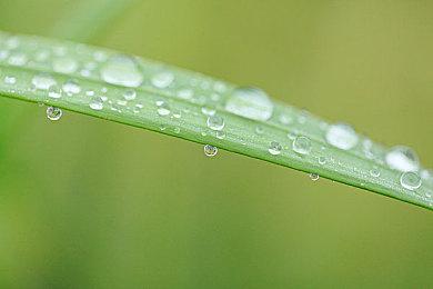 《使命召唤19》“背刺”预告 10月28日正式发售